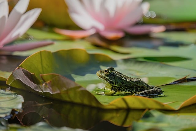 에어로케이 항공권 예약부터 탑승까지 완벽 가이드, 저가 항공사 똑똑하게 이용하는 법